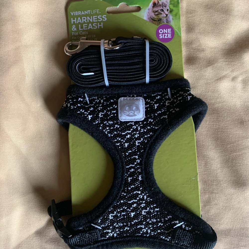 Cat harness and leash